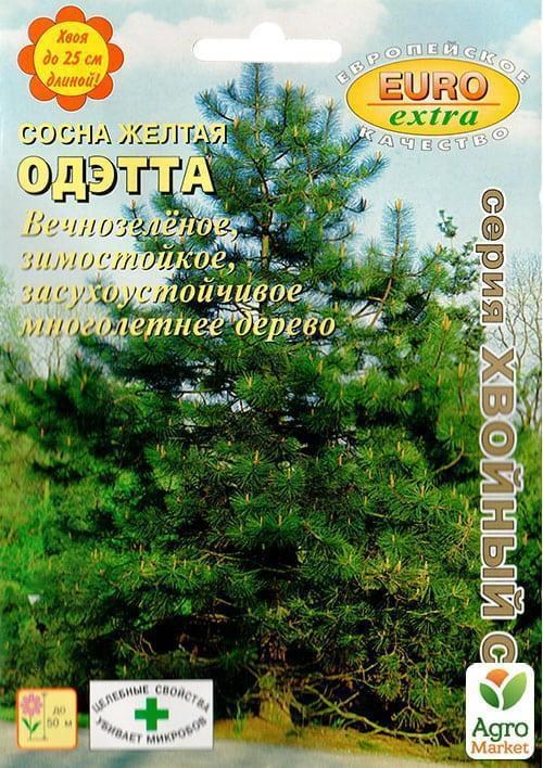 Сосна желтая или орегонская "Одэтта" ТМ "АЭЛИТА" 0.28г