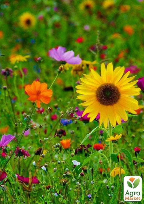 Квіткова суміш "Для балконів" (Зипер) ТМ "Весна" 4г - фото 2