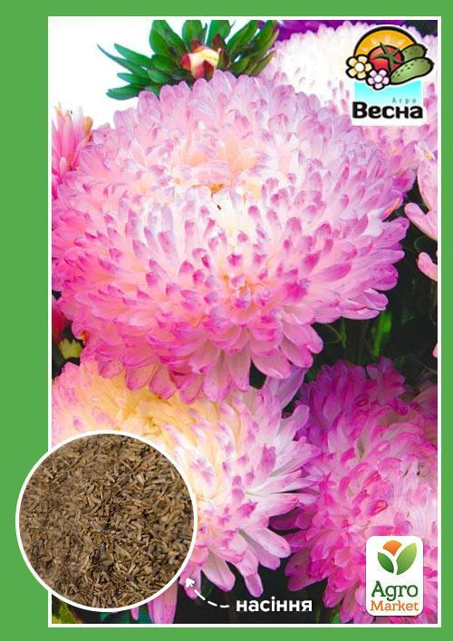 Астра "Роза Турм" ТМ "Весна" 0.2г