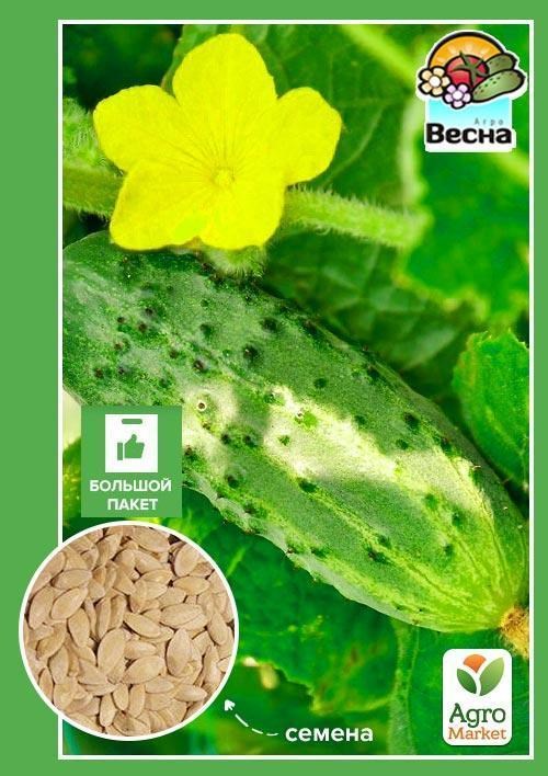 Огірок "Мурашка F1" (Великий пакет) ТМ "Весна" 0.5г