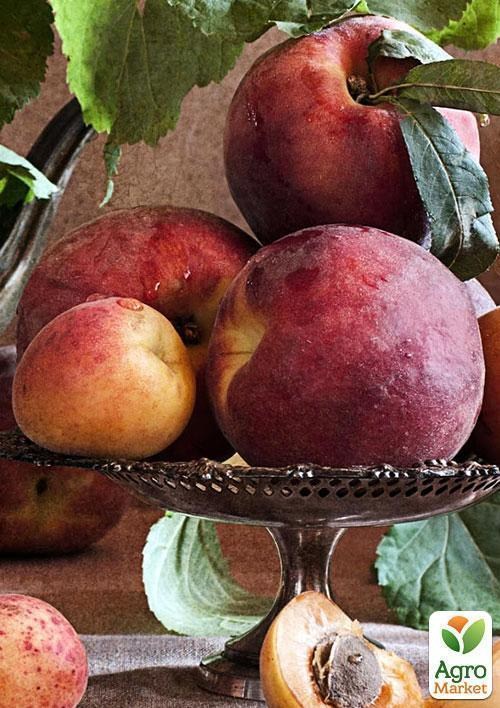 Персик "Крымский"