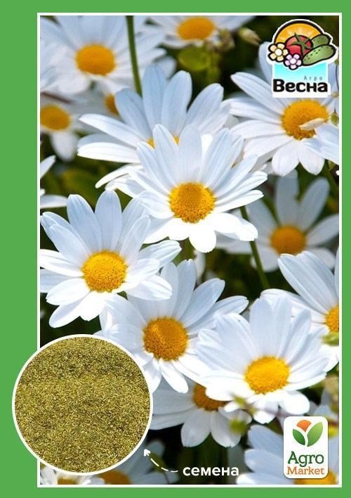 Ромашка "Низкорослая" ТМ "Весна" 0.5г