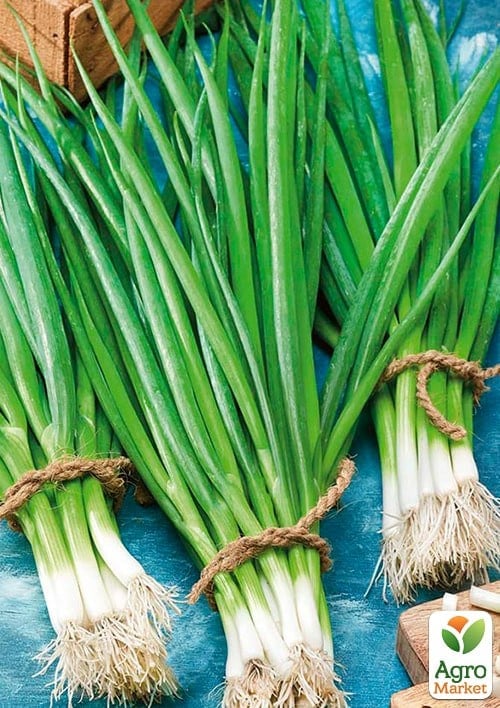 Лук-батун "Весенний" (Зипер) ТМ "Весна" 2г