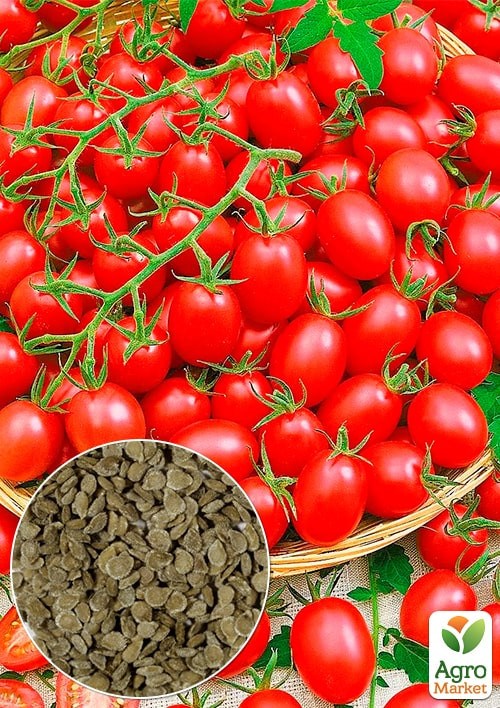 На развес Томат "Дачное лакомство" ТМ "Весна" цена за 1г