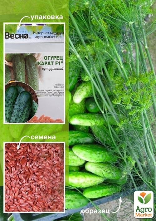 Огірок оброблений "Карат F1" (Зипер) ТМ "Весна" 0.5г