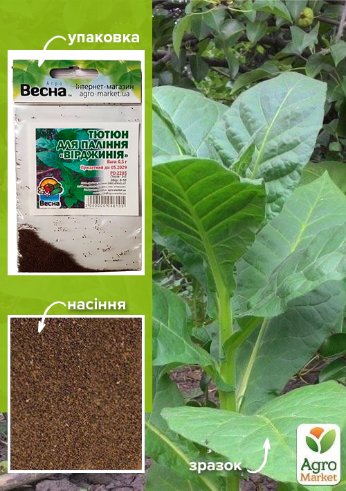 Насіння Тютюн для паління "Вірджинія" (Зипер) ТМ "Весна" 0.5г