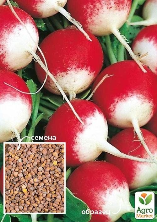 Редис "Полонез" ТМ "Весна" 100г