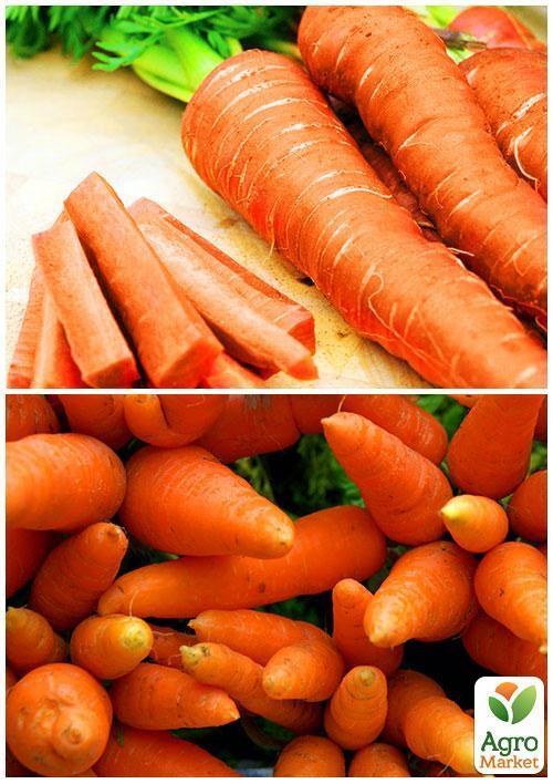 На развес Морковь "Медовянка" ТМ "Весна" цена за 10г - фото 3