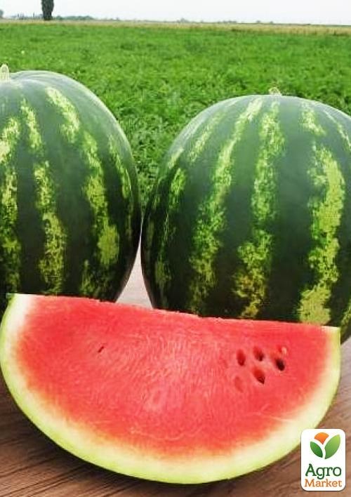 Кавун "Талісман" (у банці) ТМ "Весна" 100г