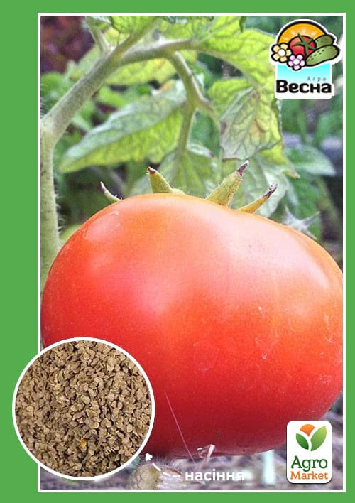 Томат "Лонг Кіпер" (довго зберігаються) ТМ "Весна" 0.2г