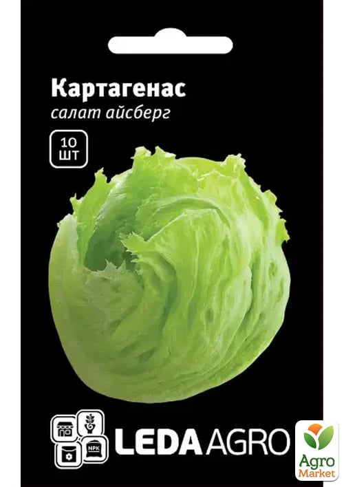 Салат айсберг "Картагенас" ТМ "Leda Agro" 10шт