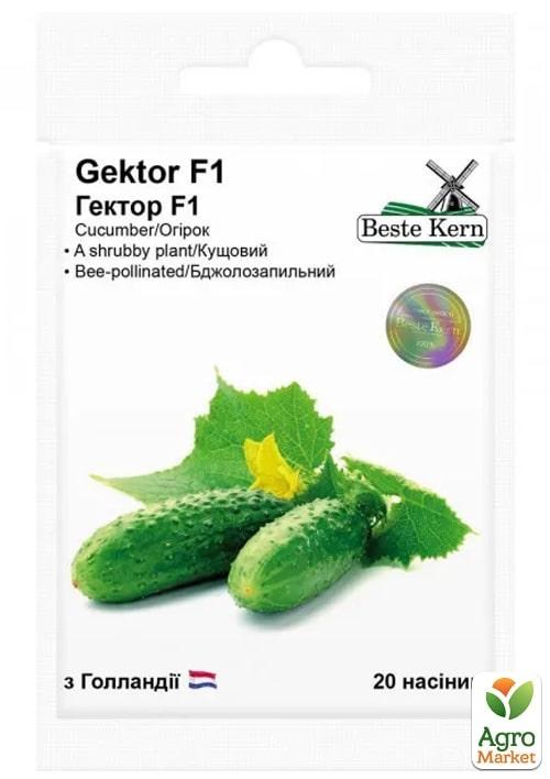 Огурец "Гектор F1" ТМ "Beste Kern" 20шт