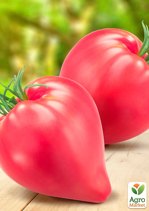 На развес Томат "Тарас Бульба" ТМ "Весна" цена за 1г - фото 2