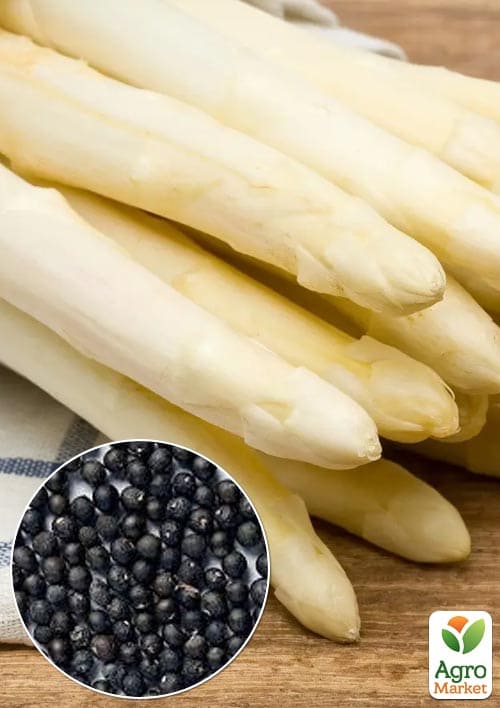 Спаржа "Аржентельська" (зіпер) ТМ "Весна" 0,5г