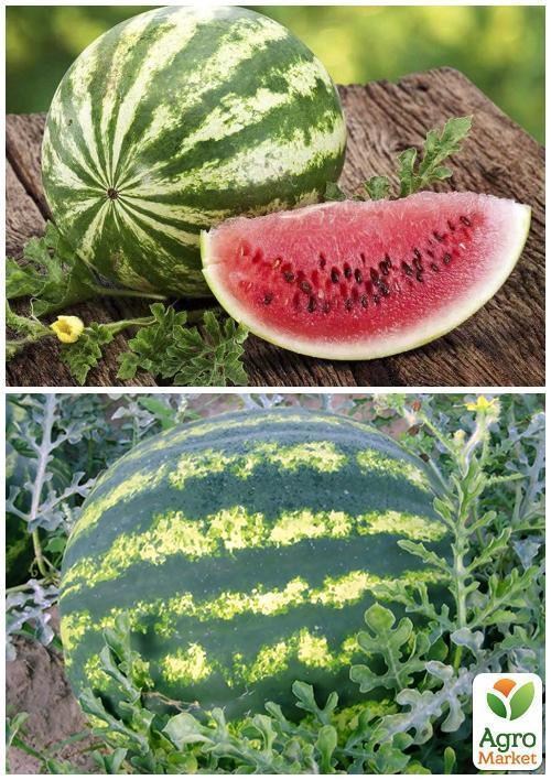 На развес Арбуз "Ау Продюсер" ТМ "Весна" цена за 5г - фото 3