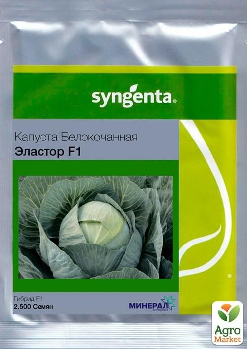 Капуста "Эластор F1" ТМ "Syngenta" 2500шт