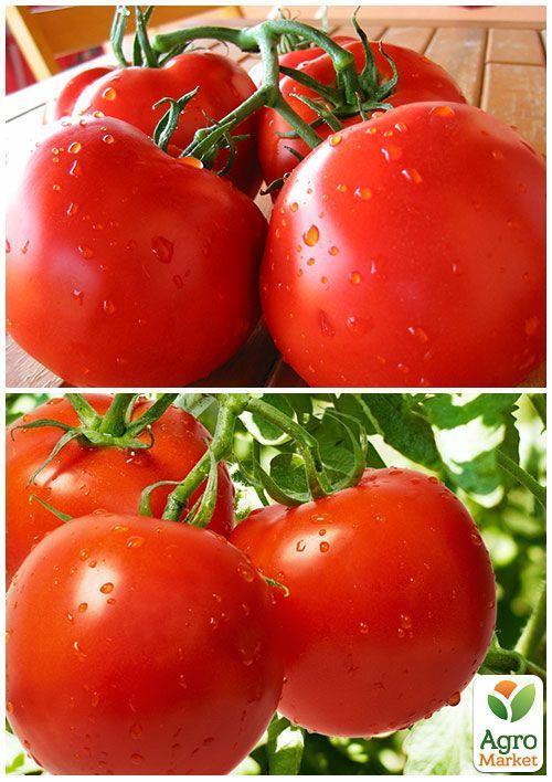 На вагу Томат "Примадонна F1" ТМ "Весна" ціна за 1г - фото 3