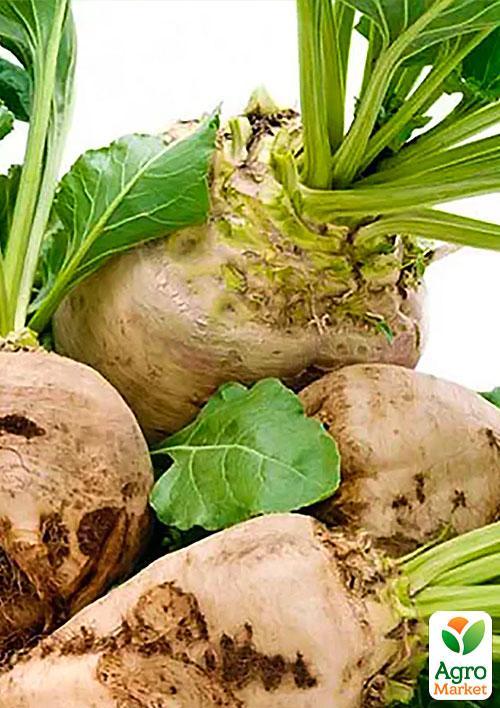 Буряк "Цукровий" (Зипер) ТМ "Весна" 10г - фото 3