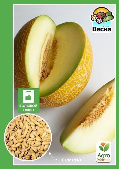 Диня "Леся" (Великий пакет) ТМ "Весна" 4г