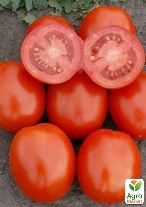 Томат детерминантный "1807 F1" ТМ "Lark Seeds" 100000шт