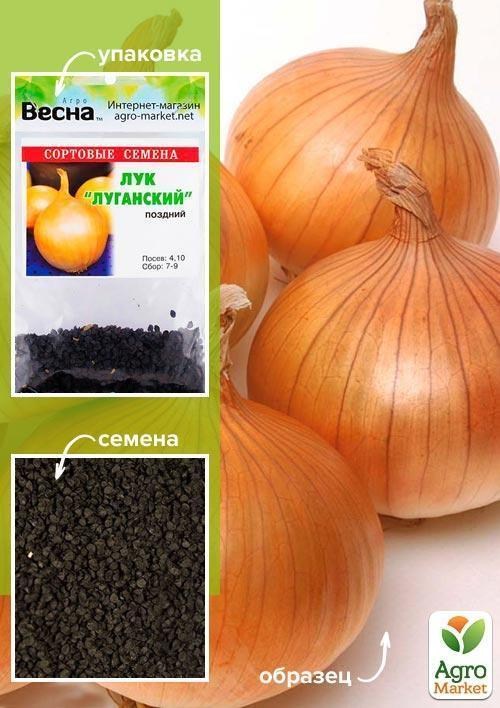 Цибуля "Луганська" (Зипер) ТМ "Весна" 3г