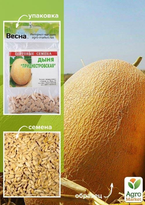 Диня "Придністровська" (Зипер) ТМ "Весна" 4г