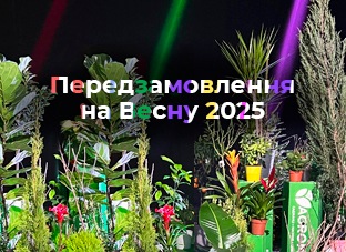 Передзамовлення на Весну 2025!