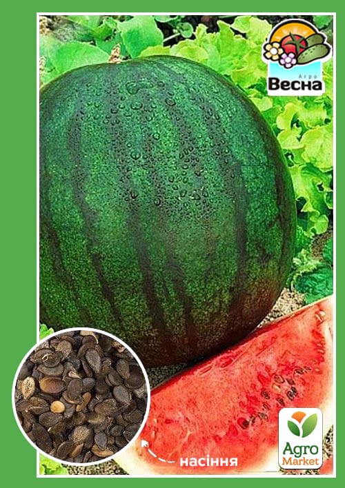 Кавун "Шуга Бебі" ТМ "Весна" 1.5г