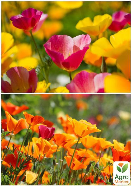 На вагу Ешшольція суміш ТМ "Весна" ціна за 2г - фото 2