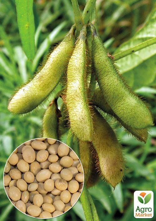 На вагу Соя ТМ "Весна" ціна за 30г