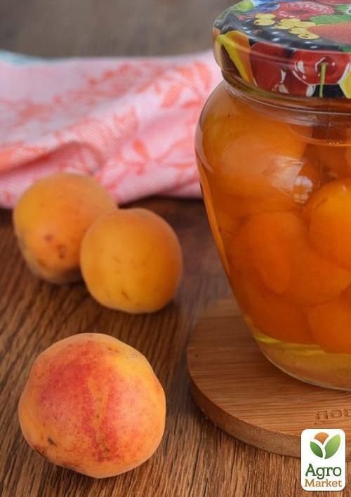 Абрикос "Робада" (летний сорт, ранний срок созревания) - фото 5