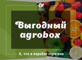 Загадкова новинка AGROBOX - корисні статті про садівництво від Agro-Market