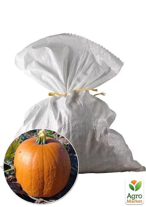 Тыква "Конектикут" ТМ Весна 3кг