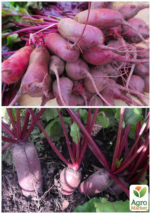 На вагу Буряк "Циліндра" ТМ "Весна" ціна за 10г - фото 2