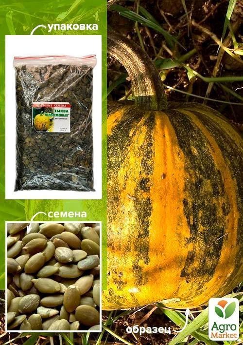 Гарбуз "Голонасінний" ТМ "Весна" 500г