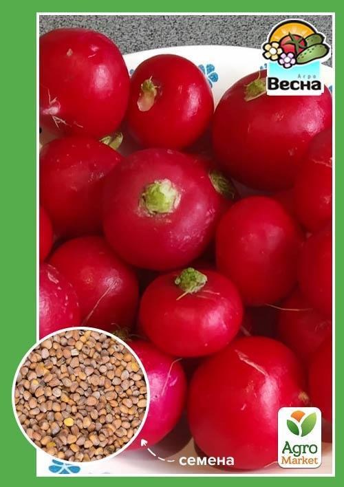 Редис "Рова" ТМ "Весна" 2г