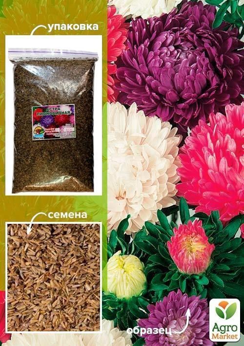 Астра смесь "Пионовидная" ТМ "Весна" 500г NEW