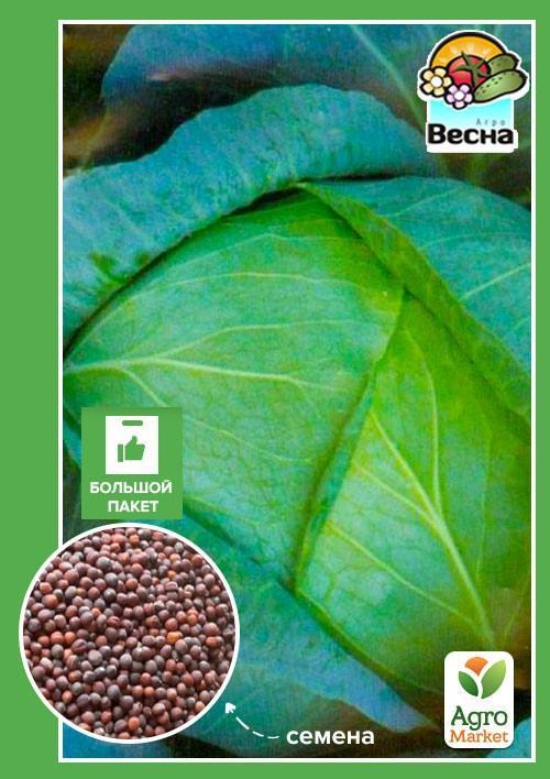 Капуста "Бірюза" (Великий пакет) ТМ "Весна" 3г