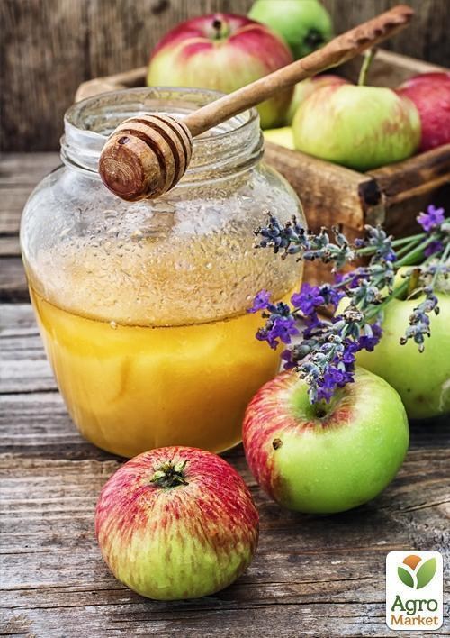 Яблоня "Бребурн" (зимний сорт, поздний срок созревания)