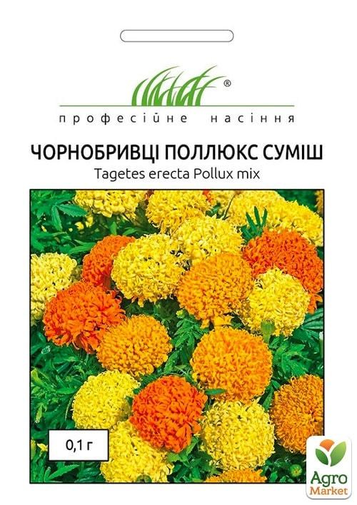 Чорнобривці "Поллюкс" суміш ТМ "Hem Zaden" 0,1г