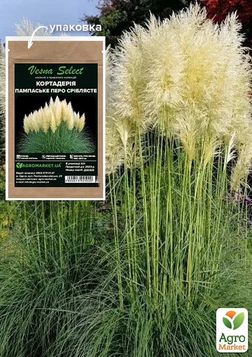 Кортадерия "Пампаское перо серебристое" ТМ "Vesna Select" 0.1г