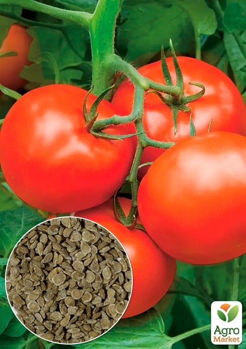На развес Томат "Вителла" ТМ "Весна" цена за 2г