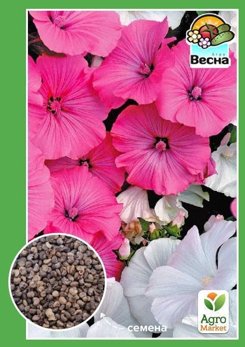 Лаватера смесь окрасок ТМ "Весна" 0.3г