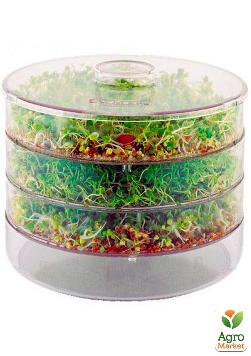 Проращиватель (спраутер) для семян и микрозелени  ТМ "ProVita"