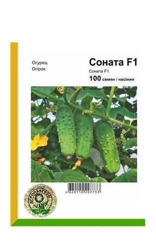 Огірок "Соната F1" ТМ "Nunhems" 100шт