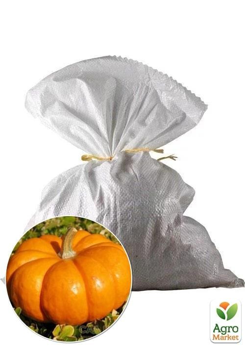 Тыква "Париж Де Прованс" ТМ Весна 3кг