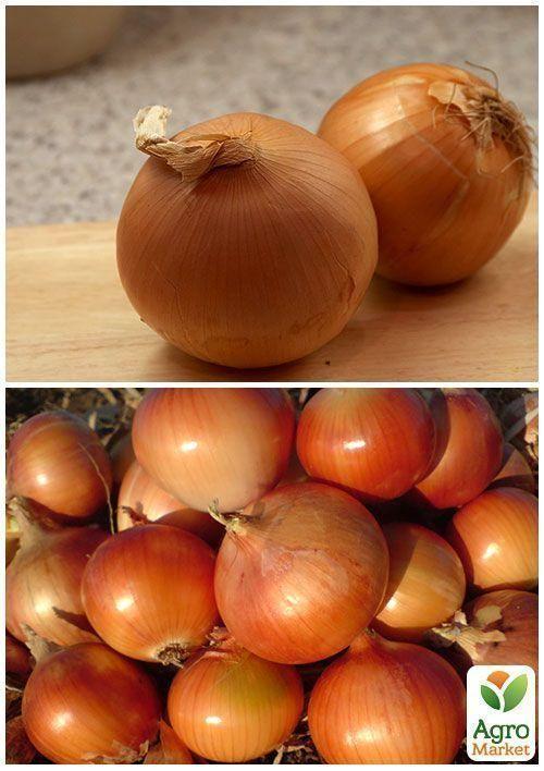 На развес Лук "Каратальский" ТМ "Весна" цена за 5г - фото 3