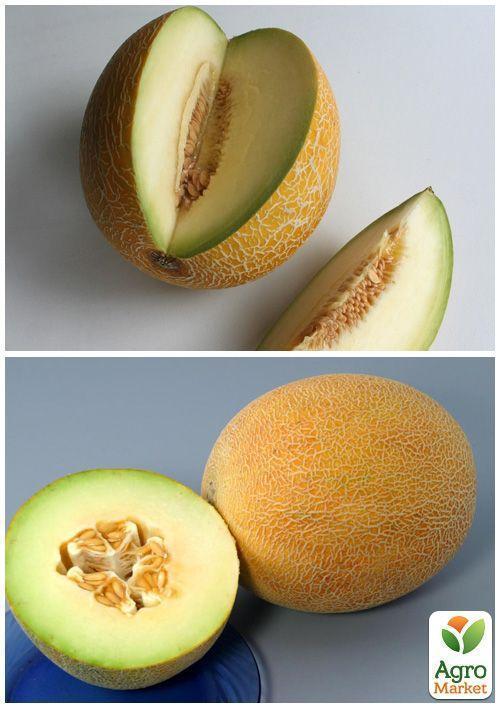 На развес Дыня "Карамель" ТМ "Весна" цена за 6г - фото 3
