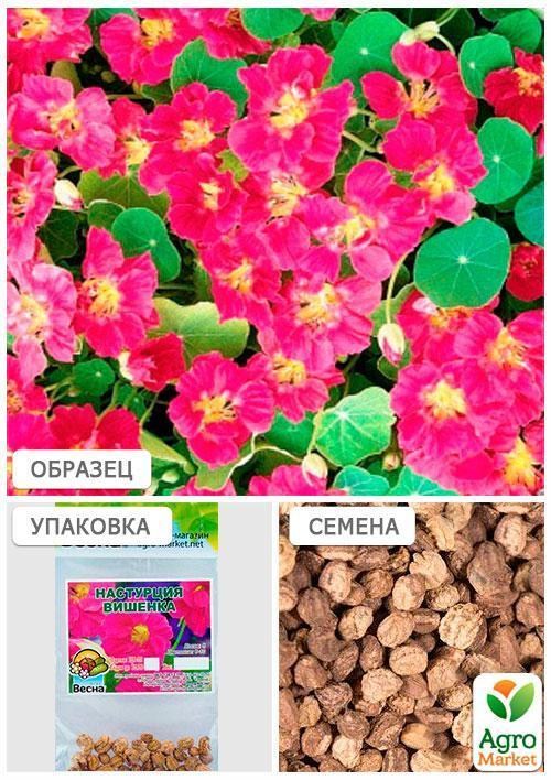 Настурція "Вишенька" (Зипер) ТМ "Весна" 2г - фото 4