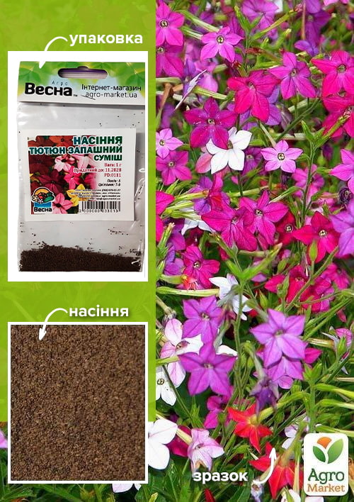 Семена Табак душистый смесь (Зипер) ТМ "Весна" 1г